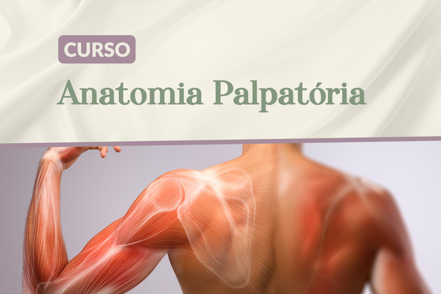 ANATOMIA PALPATÓRIA